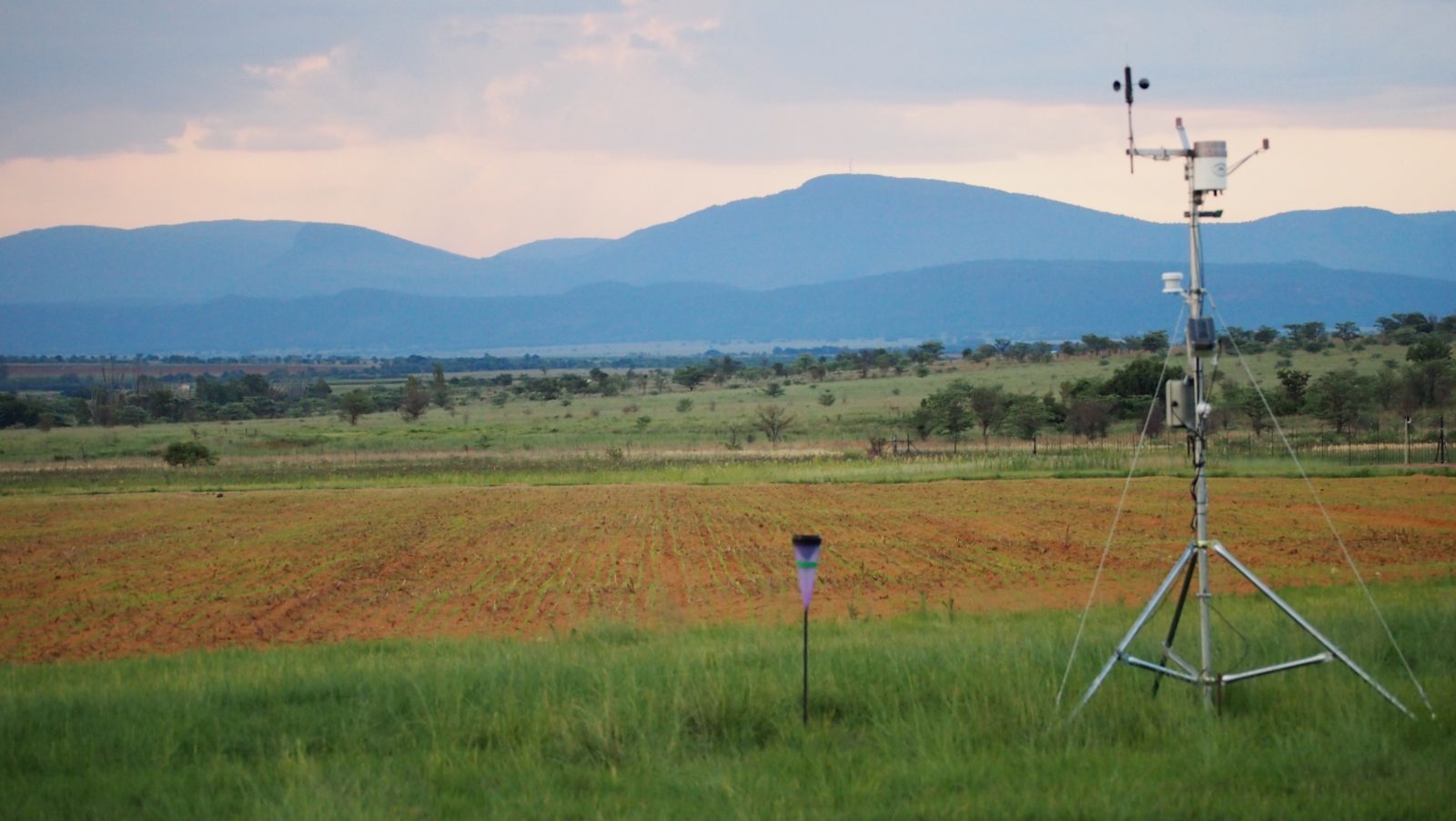 Ukulima Farm, Limpopo